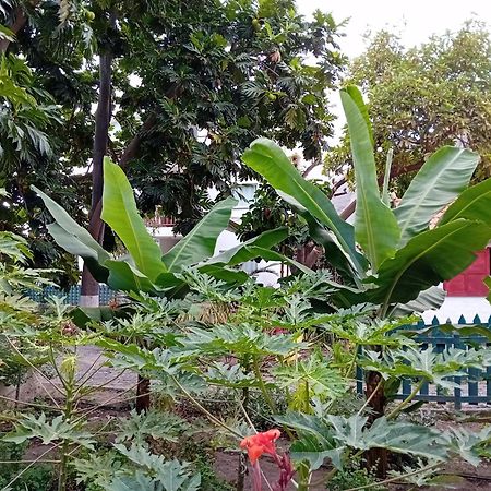 Oasis Paul Residencial Hotel Ngoại thất bức ảnh
