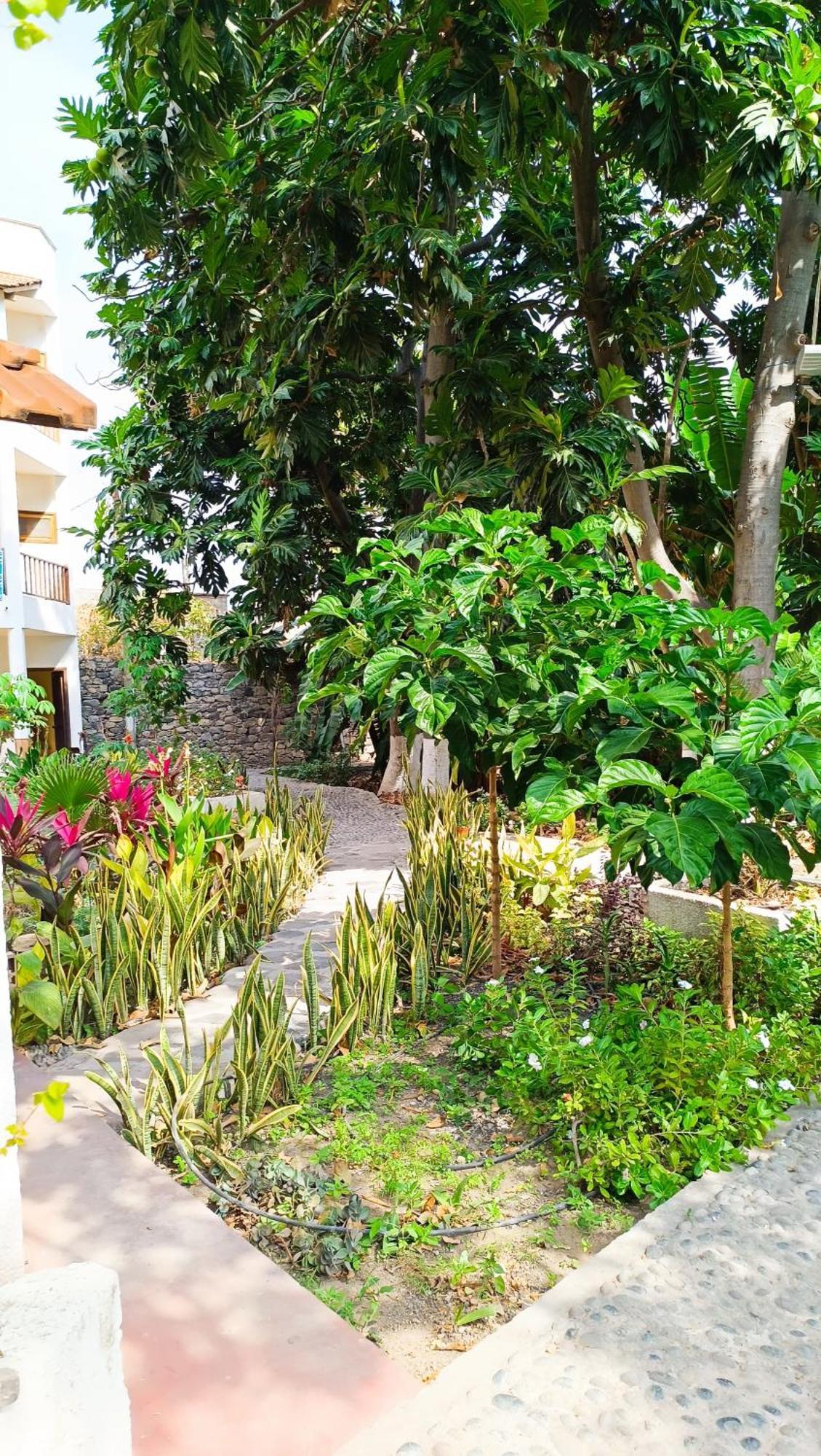Oasis Paul Residencial Hotel Ngoại thất bức ảnh