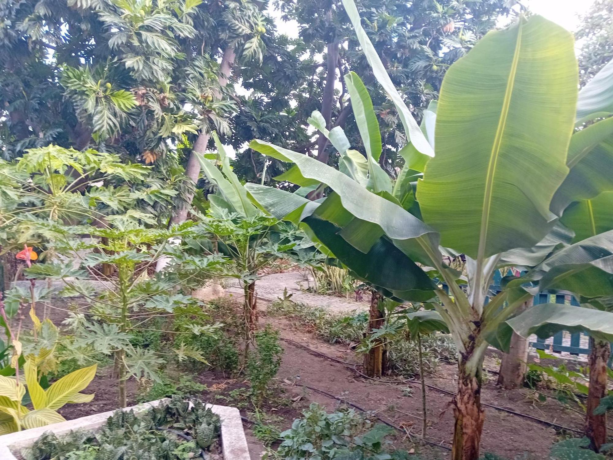 Oasis Paul Residencial Hotel Phòng bức ảnh