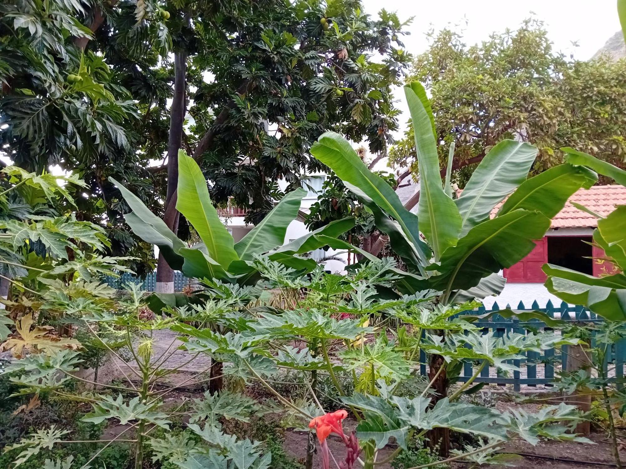 Oasis Paul Residencial Hotel Ngoại thất bức ảnh