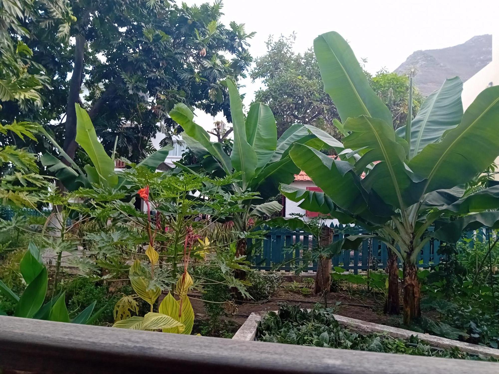 Oasis Paul Residencial Hotel Ngoại thất bức ảnh